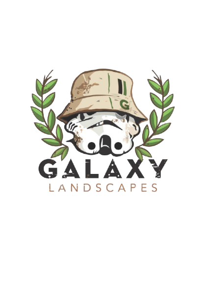 Galaxy Landscapes